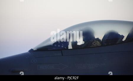 Un 175Fighter Squadron non pilota un ultimo controllo del sistema prima di un inizio di mattina lancio Luglio 21, 2018. La 114Fighter Wing distribuisce degli aerei da caccia a regioni di tutto il mondo per fornire i comandanti di combattente con le capacità necessarie per mantenere un deterrente contro le minacce alla sicurezza e alla stabilità regionale. Elementi unitari sono attualmente dispiegati a sud-ovest Asia a sostegno di un'Aria forza expeditionary rotazione. Foto Stock