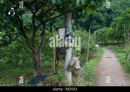 Pericoloso groviglio di aggrovigliate potenza e bassa corrente fili sul Foto Stock
