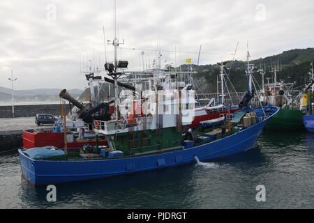 MSC-certified tonni albacora di troll e Pole & line della flotta da pesca in Getaria Harbour (paese basco) Foto Stock