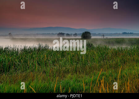 Luce Pre-Dawn Oltre le paludi in Lee Metcalf National Wildlife Refuge Foto Stock