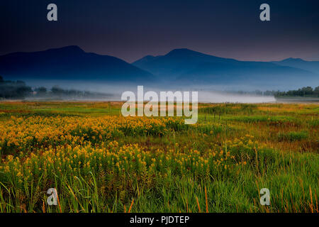 Piatto di acquitrini, Lee Metcalf National Wildlife Refuge, Montana Foto Stock