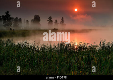 Un foggy sunrise a Lee Metcalf National Wildlife Refuge Foto Stock