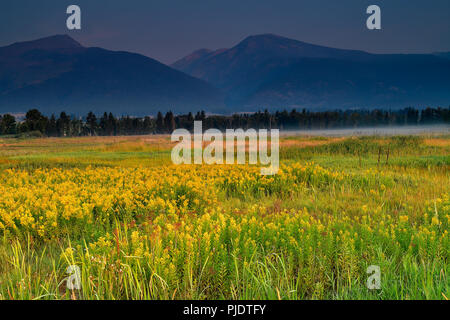 Un inizio autunno escursione in Lee Metcalf National Wildlife Refuge fornisce maestose vedute del Bitterroot Mountain Range Foto Stock