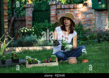 A metà donna età piantare fiori con il suo cane in cortile Foto Stock