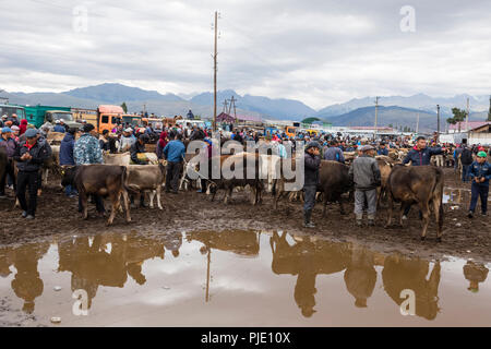 Karakol, Kirghizistan, 13 agosto 2018: settimanale domenica mercato degli animali in Karakol città vicino alla punta orientale del lago di Issyk-Kul in Kirghizistan. Egli è uno dei Foto Stock