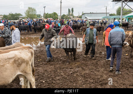 Karakol, Kirghizistan, 13 agosto 2018: settimanale domenica mercato degli animali in Karakol città vicino alla punta orientale del lago di Issyk-Kul in Kirghizistan. Egli è uno dei Foto Stock