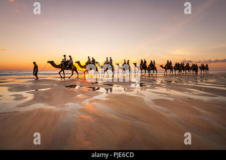 Camel Tour alla famosa Cable Beach in Broome. Foto Stock