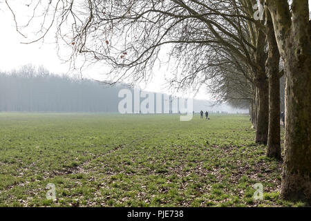 Persone che camminano in un parco pubblico durante l'inverno. Foto Stock