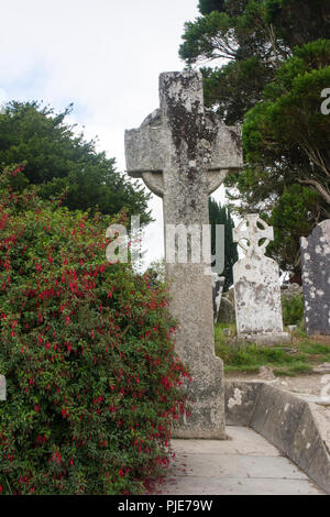 Simbolo del patrimonio irlandese nel cimitero . Foto Stock