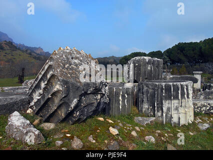 Alcune sezioni delle colonne che sono ora parte delle rovine del tempio di Artemide, conosciuto anche come Diana, a Efeso in Turchia. Foto Stock