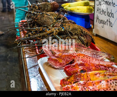 Array di pescato del giorno le opzioni per cibo di strada cenare al ristorante si spegne a Los Kioskos sezione di Puerto Ayora, Isla Santa Cruz, Galapagos Foto Stock