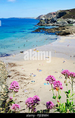 Trevaunance Cove In sant Agnese, Cornwall, Inghilterra, Regno Unito. Foto Stock