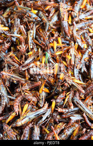 Deep-cavallette fritte, mercato Chillva, Phuket, Thailandia, frittierte Heuschrecken, Chillva Markt Foto Stock