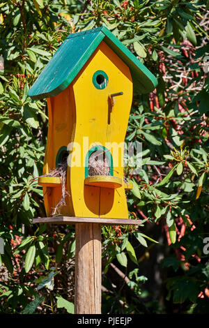 Custom made uccello carino casa dipinte in giallo e in verde nella parte anteriore di una copertura su un palo di legno con ingressi multipli. Foto Stock