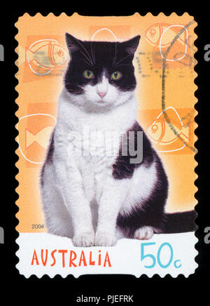 AUSTRALIA - circa 2004: un timbro stampato in australia mostra un gatto, circa 2004 Foto Stock