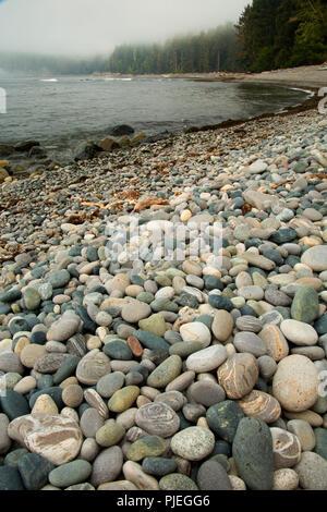 Sombrio spiaggia lungo Juan de Fuca sentiero Marini, Juan de Fuca Parco Provinciale, British Columbia, Canada Foto Stock