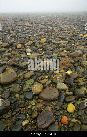 Sombrio spiaggia lungo Juan de Fuca sentiero Marini, Juan de Fuca Parco Provinciale, British Columbia, Canada Foto Stock