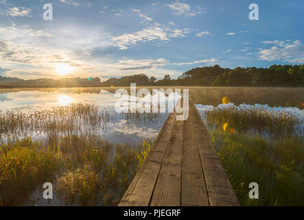 Un molo su un lago in Zimbabwe Nyanga. Foto Stock