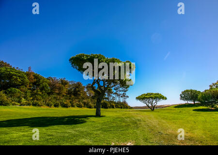 Quinta do Lago Campo da Golf Foto Stock