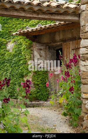 Hollyhocks fiori che sbocciano in Provenza, regione a sud della Francia Foto Stock