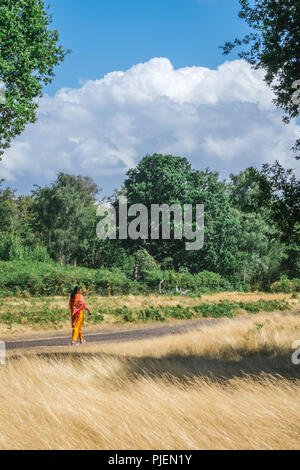 Londra, Inghilterra - Luglio 2018 : donna vestito in abiti indù camminando sul percorso attraverso l'erba alta in un parco di Richmond in estate Foto Stock