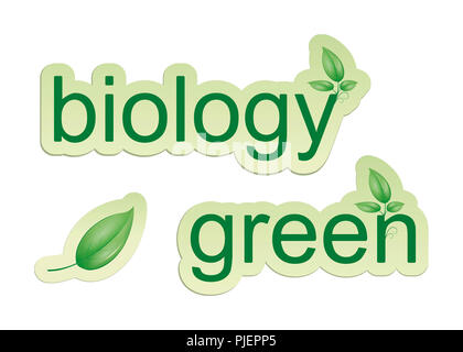 Una immagine di alcune icone web biologia verde e una foglia Foto Stock
