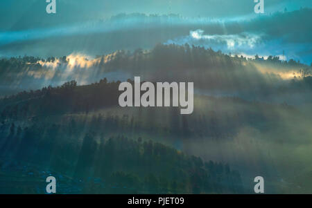 Natura immagine orizzontale di Ooty Foto Stock