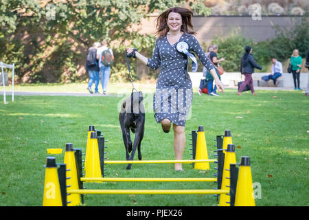 Londra, Regno Unito. 6 Settembre, 2018. Xxvi edizione Westminster cane dell'anno. Credito: Guy Corbishley/Alamy Live News Foto Stock