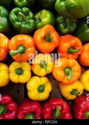 Guardando verso il basso a partire da sopra su una varietà di differenti colori di peperoni a campana tra cui rosso, giallo, arancio e verde su un mercato in stallo Foto Stock