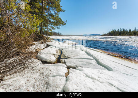 Paesaggio in primavera con icefloes sulle rive di un fiume, neve nella foresta e il sole che splende da un cielo blu chiaro, Gällivare county, Lapponia svedese, Svezia Foto Stock