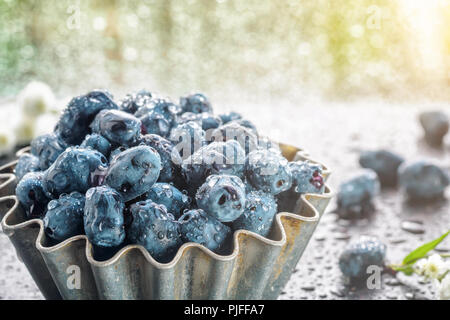 Estate caprifoglio bacche in forme metalliche per la cottura con i fiori di camomilla nella parte anteriore del vetro della finestra in gocce di pioggia con il sole splendente. Concetto di alimentare il raccolto Foto Stock