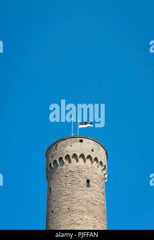 Tallinn Pikk Hermann, vista la bandiera dell'Estonia sulla sommità del Pikk Hermann (Tall Hermann) torre sulla collina di Toompea nel centro di Tallinn, Estonia. Foto Stock