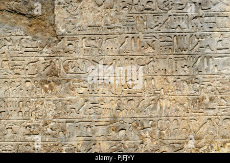 Stele di pietra arenaria (pietra tablet) del viceré egiziano Merymose di Kush (c1400BC) testo geroglifico che descrive le sue campagne contro il Nubians. Brit Foto Stock