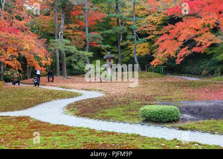 NARA, Giappone - 23 novembre 2016: turisti visitano Yoshikien Garden a Nara, Giappone. Nara è uno di ultimate fogliame di autunno appreciacion (koyo) destinatio Foto Stock