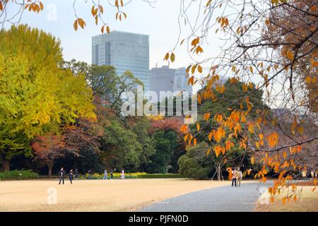 TOKYO, Giappone - 30 novembre 2016: la gente visita Shinjuku Gyoen a Tokyo in Giappone. Shinjuku Gyoen park è notevole per la sua celebrazione di foglie di autunno. Foto Stock