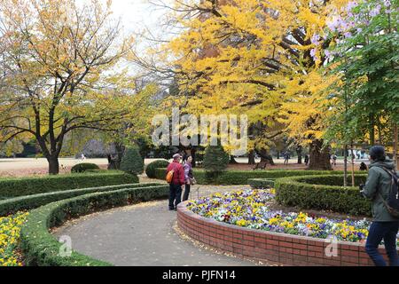 TOKYO, Giappone - 30 novembre 2016: la gente visita Shinjuku Gyoen a Tokyo in Giappone. Shinjuku Gyoen park è notevole per la sua celebrazione di foglie di autunno. Foto Stock