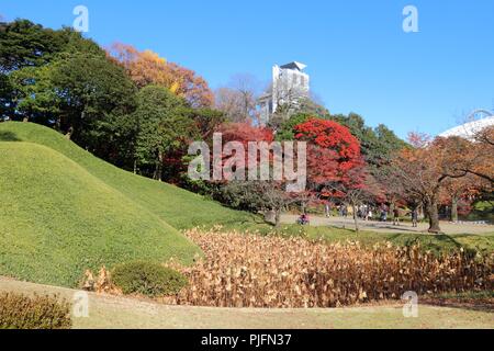 Autunno in Tokyo, Giappone - Koishikawa Korakuen Garden. Foto Stock