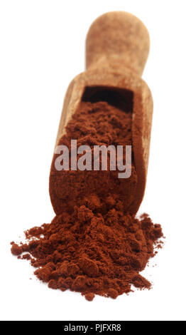 La polvere di cacao con scoop su sfondo bianco Foto Stock