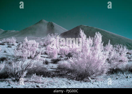 Il falso colore infrarosso del Deserto Mojave con cespugli e montagne brulle in background sotto un cielo turchese. Foto Stock