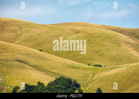 Foresta di faggio su dolci colline di montagna cresta. splendidi paesaggi con prati alpini. Meraviglioso sfondo natura Foto Stock