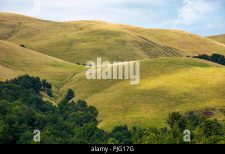 Foresta di faggio su dolci colline di montagna cresta. splendidi paesaggi con prati alpini. Meraviglioso sfondo natura Foto Stock