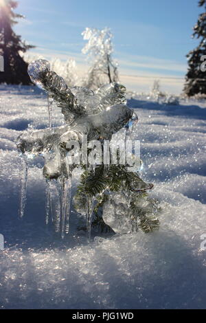 Albero di Natale rivestito in ghiaccio Foto Stock