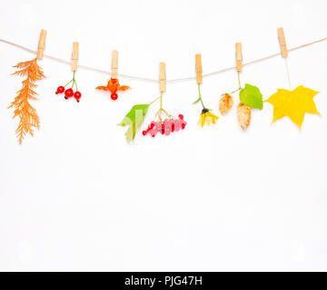 Autunno composizione fatta di fiori e foglie di acero, bacche di rosa canina, rosso pallon di maggio, coni di luppolo e physalis su sfondo bianco. mock up per testo, congra Foto Stock
