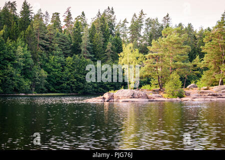 Una penisola rocciosa sporge in un lago della Svezia Foto Stock