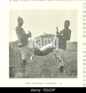 Immagine dalla pagina 318 di "sotto il sole africano una descrizione delle razze native in Uganda, avventure sportive e altre esperienze . Con 134 illustrazioni da fotografie dall'autore e due piastre colorate' mediante il BRI0068. Foto Stock