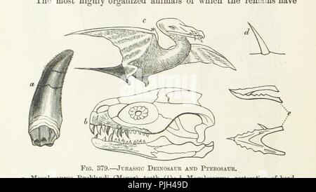 Immagine dalla pagina 802 di 'Text-Book di Geologia " . Foto Stock