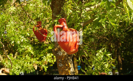 Due brocche di argilla su albero Foto Stock