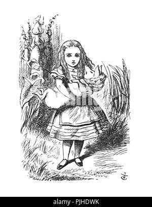 Vintage john tenniel artwork Foto Stock