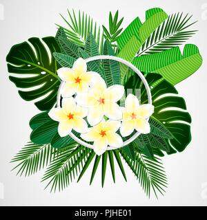 Foglie tropicali con fiori di plumeria e cornice bianca su sfondo isolato. Illustrazione Vettoriale