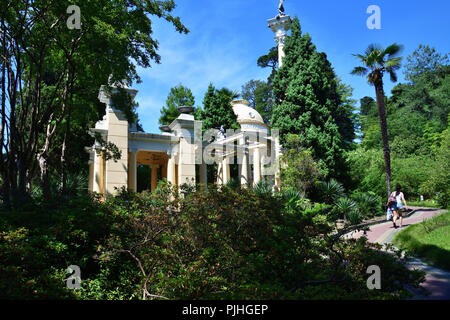 Sochi, Russia - 5 giugno. 2018 Un greco arbor nell'arboretum Foto Stock